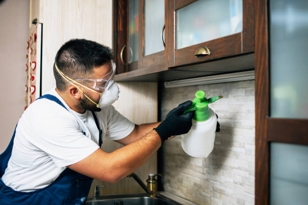 Best Insect Control  in Forest Hill, TX