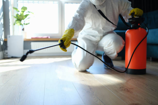 Reliable Forest Hill, TX Pest Control Solutions