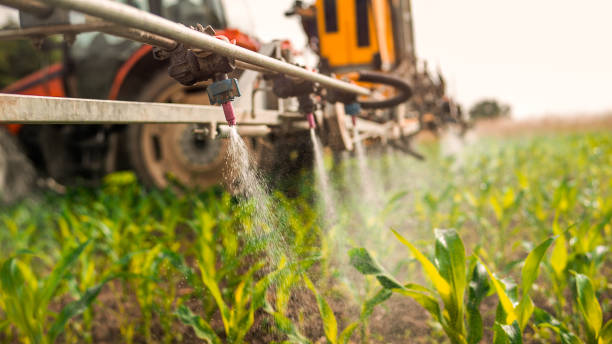 Best Ant Control Services  in Forest Hill, TX